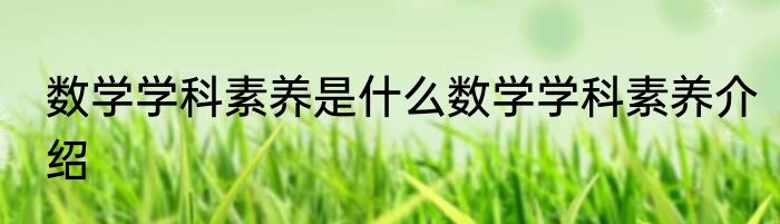数学学科素养是什么数学学科素养介绍