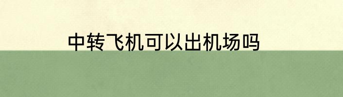 中转飞机可以出机场吗