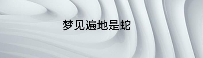 梦见遍地是蛇