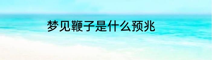 梦见鞭子是什么预兆