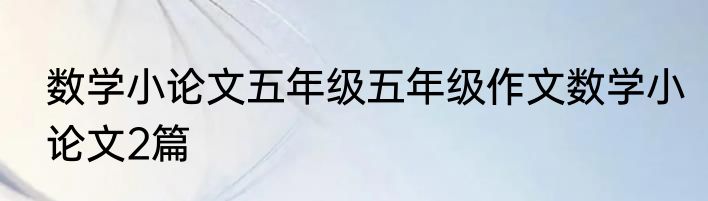 数学小论文五年级五年级作文数学小论文2篇