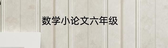 数学小论文六年级