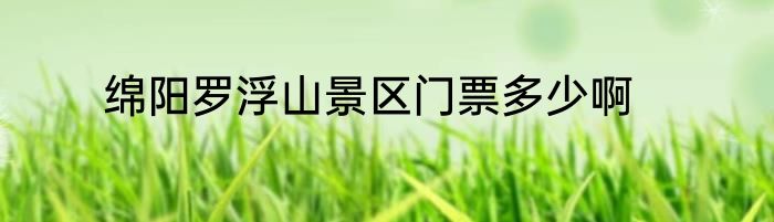 绵阳罗浮山景区门票多少啊