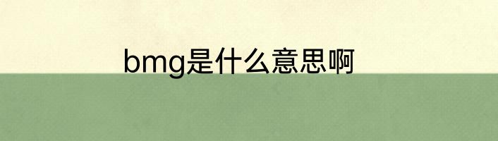 bmg是什么意思啊
