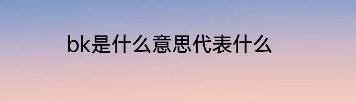 bk是什么意思代表什么