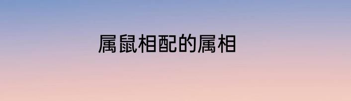 属鼠相配的属相