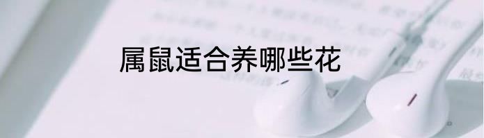 属鼠适合养哪些花
