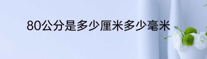 80公分是多少厘米多少毫米