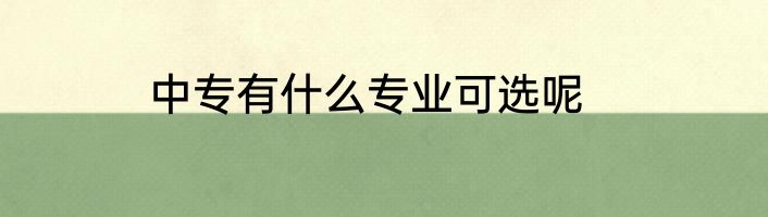 中专有什么专业可选呢