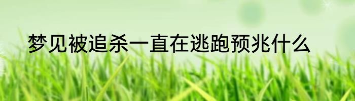梦见被追杀一直在逃跑预兆什么