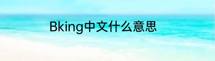 Bking中文什么意思