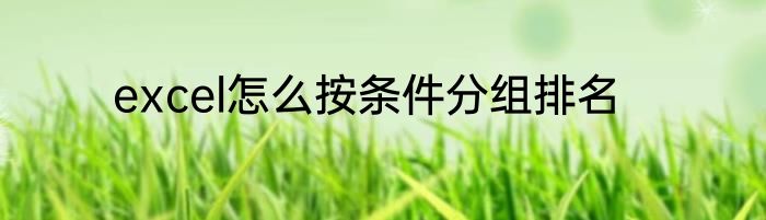 excel怎么按条件分组排名