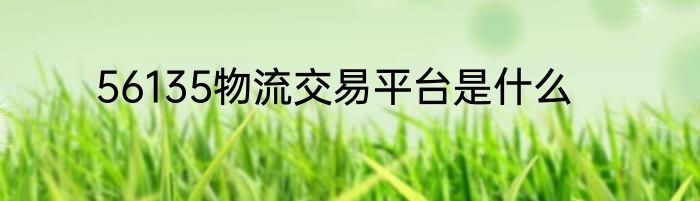 56135物流交易平台是什么