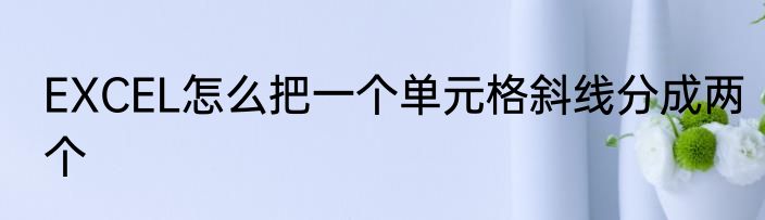 EXCEL怎么把一个单元格斜线分成两个
