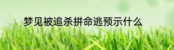 梦见被追杀拼命逃预示什么
