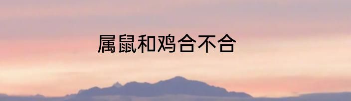 属鼠和鸡合不合