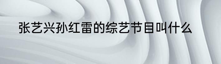 张艺兴孙红雷的综艺节目叫什么