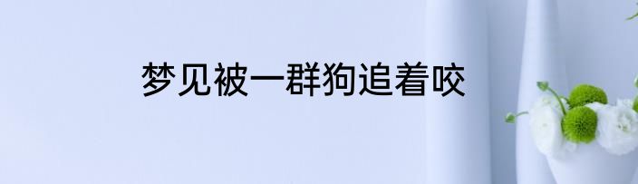 梦见被一群狗追着咬