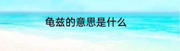 龟兹的意思是什么