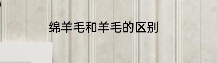 绵羊毛和羊毛的区别