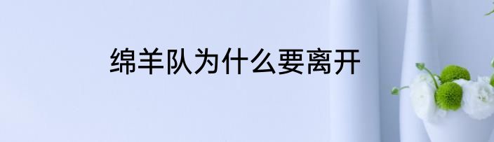 绵羊队为什么要离开