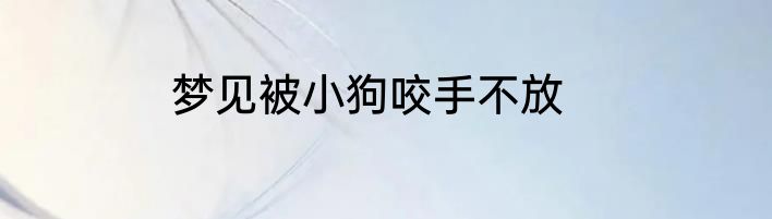 梦见被小狗咬手不放