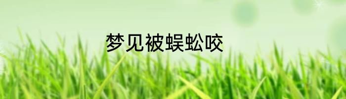 梦见被蜈蚣咬