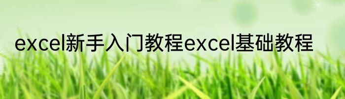 excel新手入门教程excel基础教程