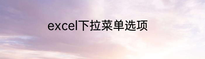 excel下拉菜单选项