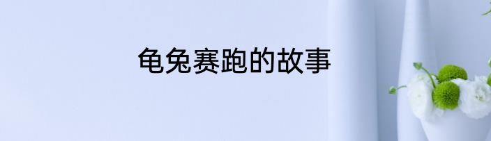 龟兔赛跑的故事