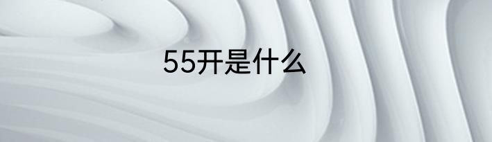 55开是什么