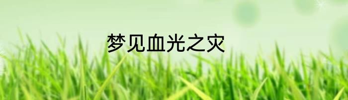 梦见血光之灾