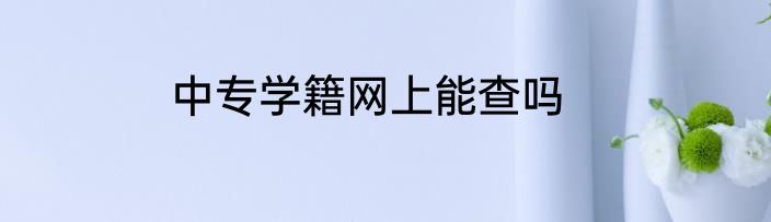 中专学籍网上能查吗