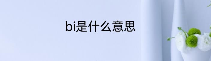 bi是什么意思