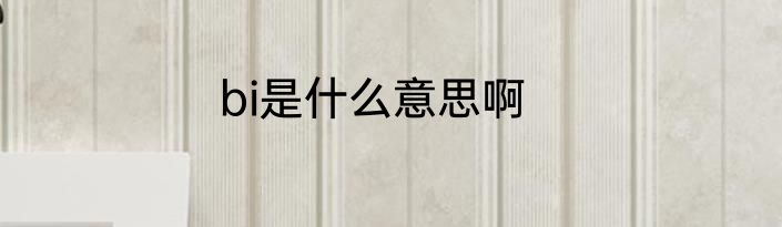bi是什么意思啊
