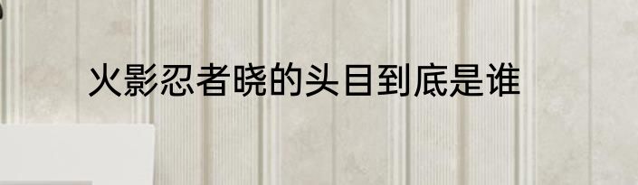 火影忍者晓的头目到底是谁