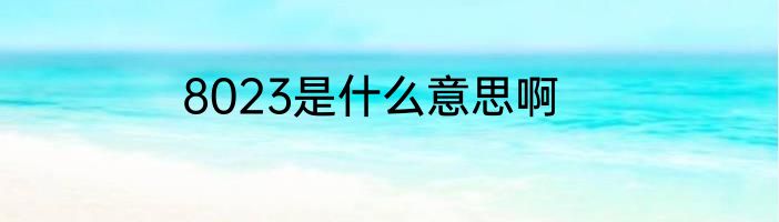 8023是什么意思啊