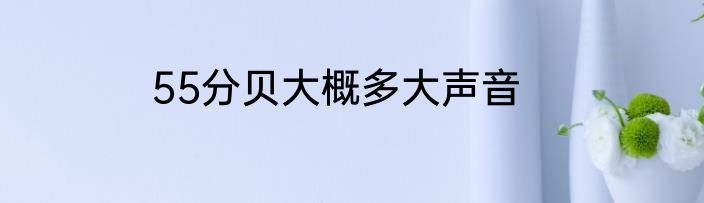 55分贝大概多大声音