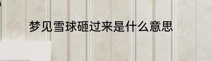 梦见雪球砸过来是什么意思