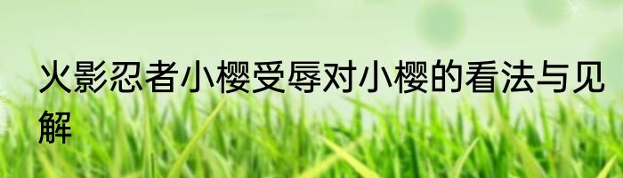 火影忍者小樱受辱对小樱的看法与见解