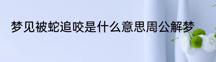 梦见被蛇追咬是什么意思周公解梦