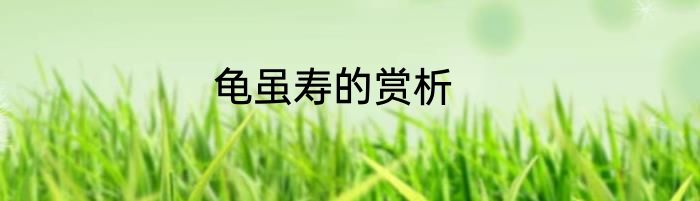 龟虽寿的赏析
