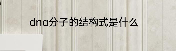 dna分子的结构式是什么