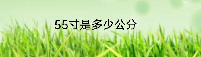 55寸是多少公分