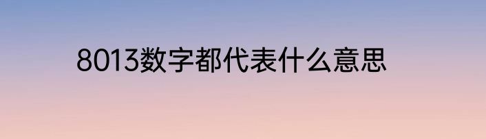 8013数字都代表什么意思