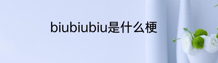 biubiubiu是什么梗