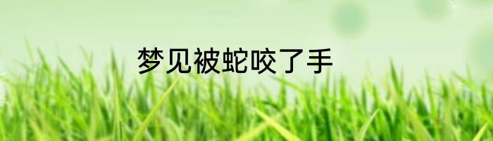 梦见被蛇咬了手