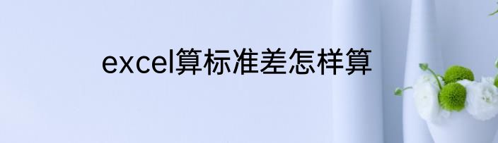 excel算标准差怎样算