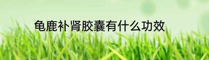 龟鹿补肾胶囊有什么功效