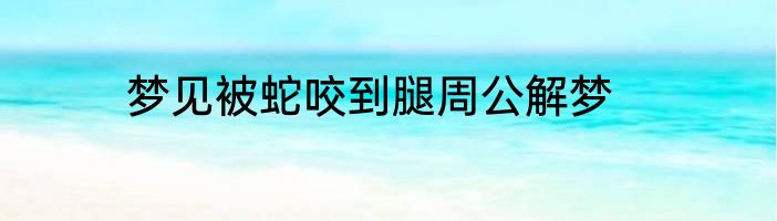 梦见被蛇咬到腿周公解梦